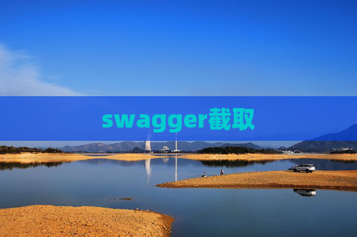 swagger截取